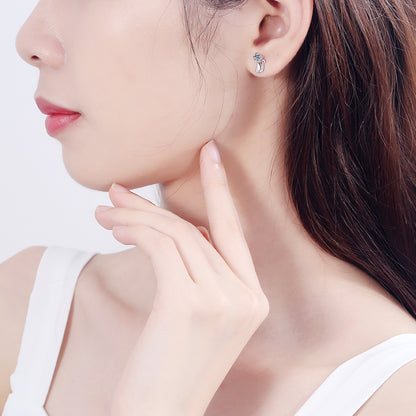 Kitten Round Cut 0.3 Carat Moissanite S925 Stud Earrings